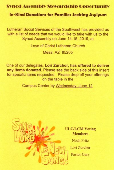 Synod Flyer