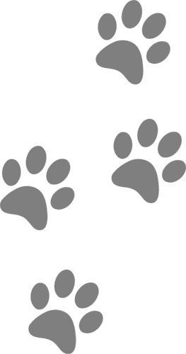 Paw Prints