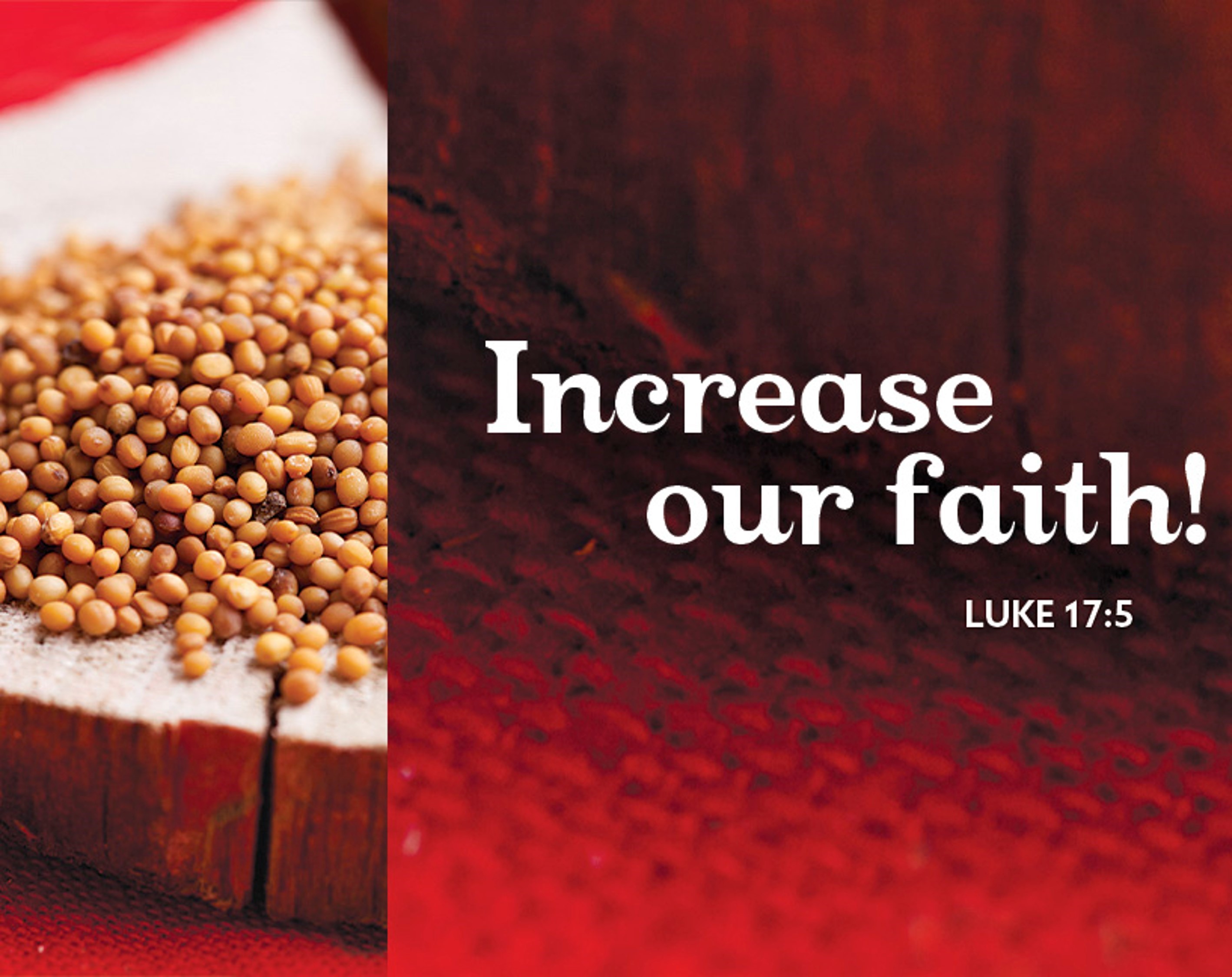 The current image has no alternative text. The file name is: sundaysandseasons-luke-17-5