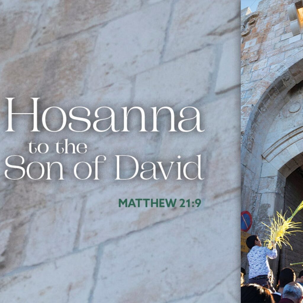 The current image has no alternative text. The file name is: SS-Matthew-21.9.jpg