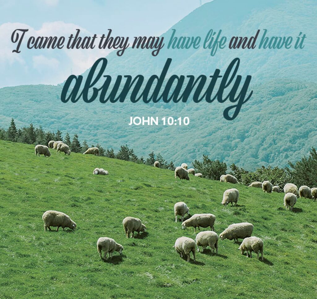 The current image has no alternative text. The file name is: SS-John-10.10-Square.jpg